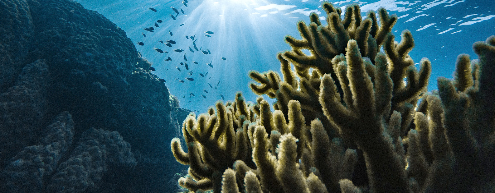 三達(dá)膜中水回用、陶瓷膜、石墨烯膜、黑金膜公眾號(hào)，歡迎您掃碼關(guān)注！